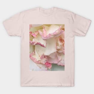 Pastel pink rose petals T-Shirt